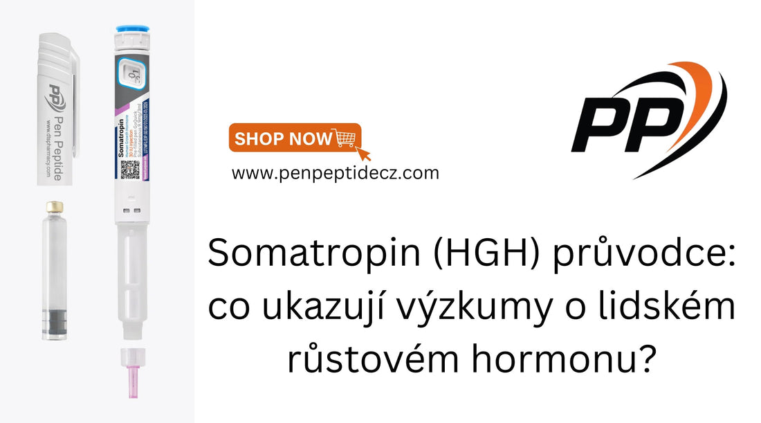 Co je Somatropin HGH